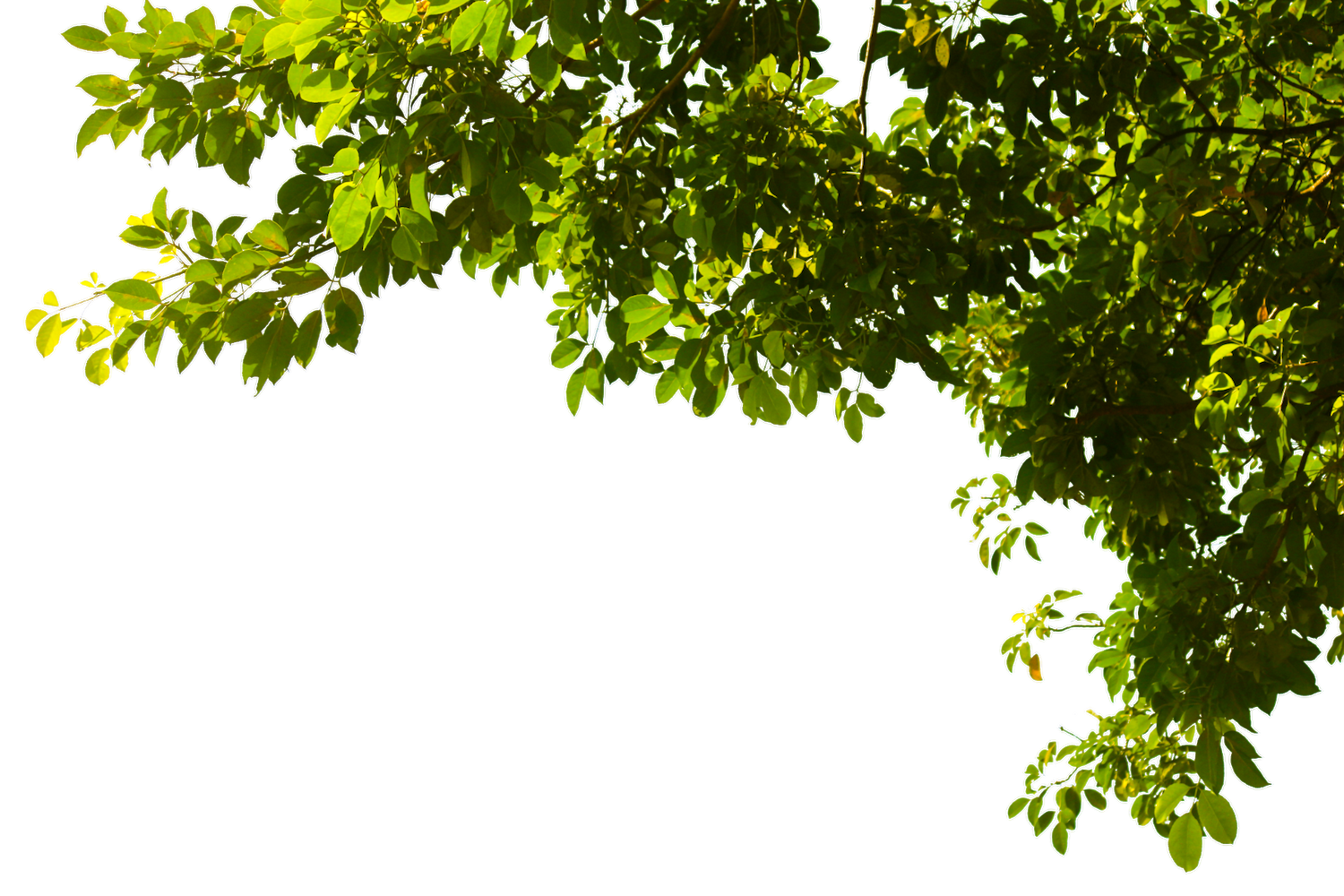 © D85studio - stock.adobe.com