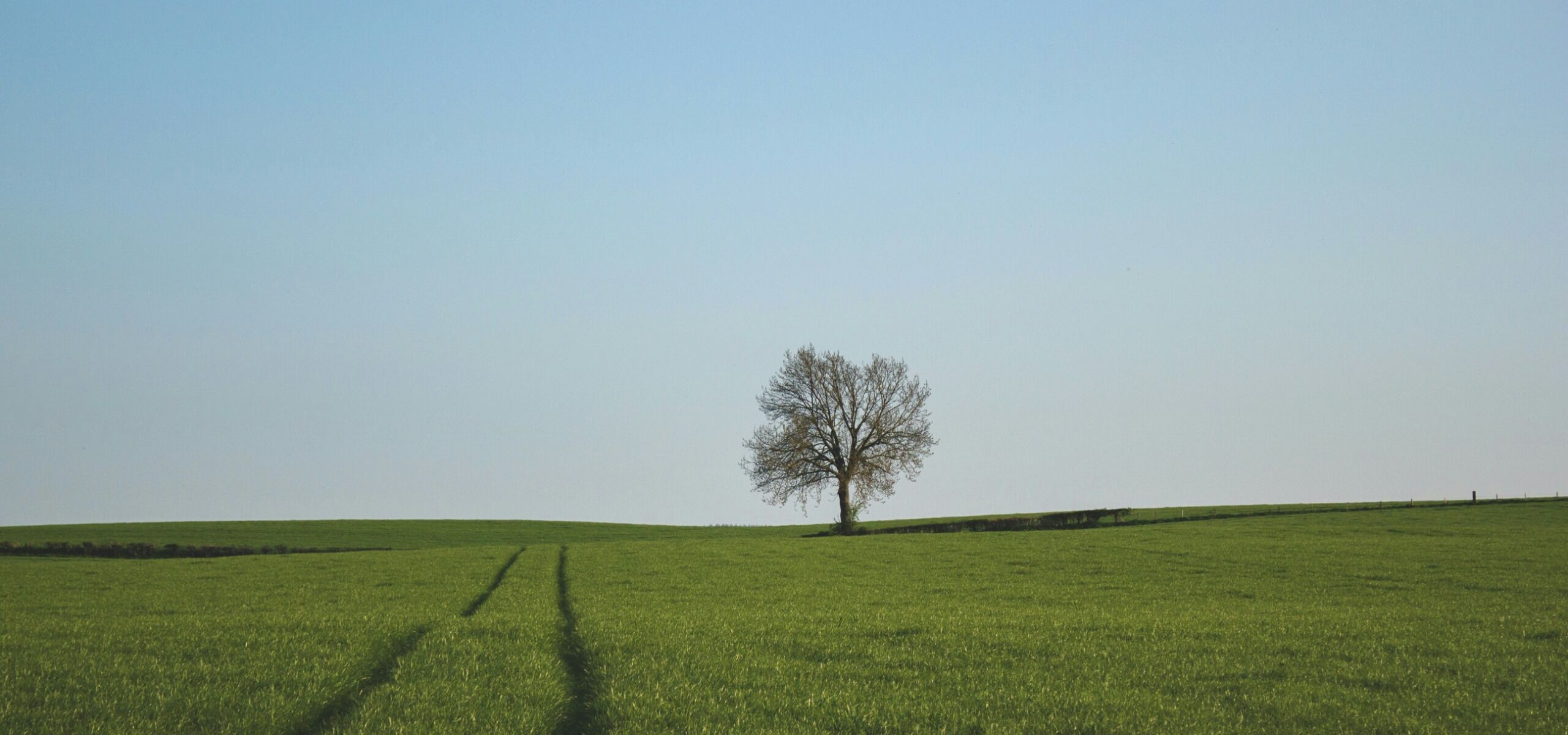 © John Mark Arnold - unsplash.com